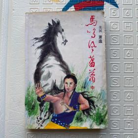 马鸣风萧萧 中