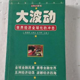 大波动-世界经济全球化的冲击