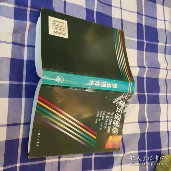 第五项修炼：学习型组织的艺术与实务