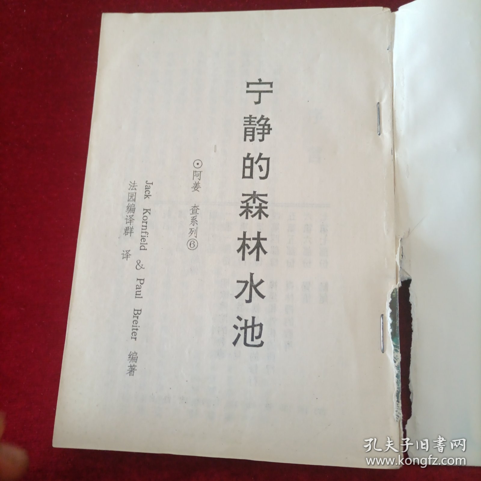 宁静的森林水池：阿姜查的内观禅修