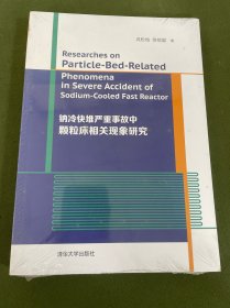钠冷快堆严重事故中颗粒床相关现象研究