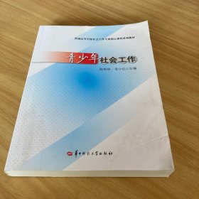 青少年社会工作(普通高等学校社会工作专业核心课程系列教材)