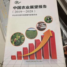 中国农业展望报告（2019-2028）