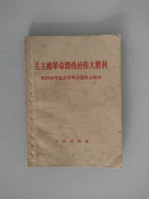 毛主席革命路线的伟大胜利