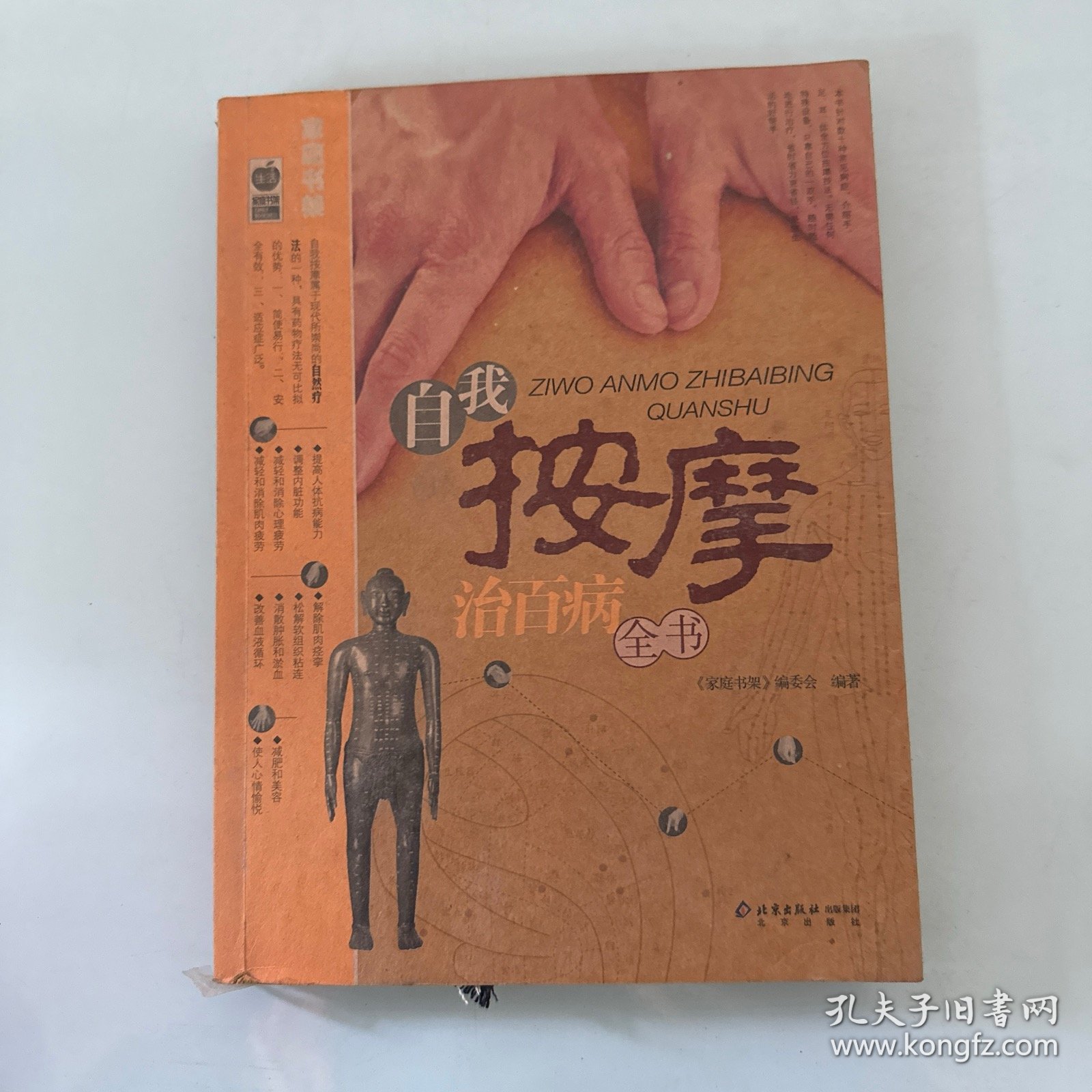 自我按摩治百病全书
