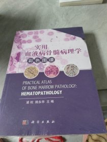 实用血液病骨髓病理学彩色图谱