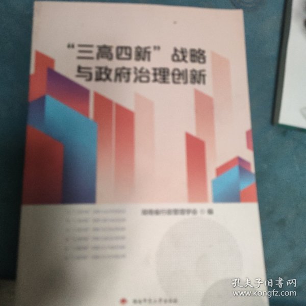 三高四新，战略与政府冶理创新