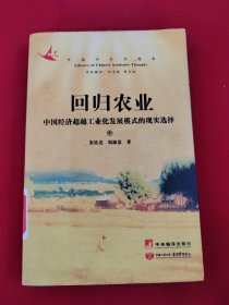 回归农业:中国经济超越工业化发展模式的现实选择 （中）