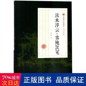 流水浮云·雪地沉冤/民国通俗小说典藏文库·冯玉奇卷