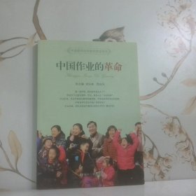 中国教师高效教学指导用书 中国作业的革命