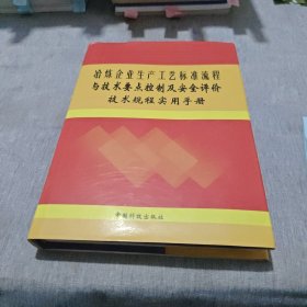 冶炼企业生产工艺标准流程与技术要点控制及安全评价技术规程实用手册