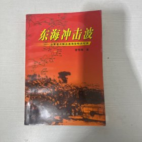 东海冲击波:三军首次联合渡海登陆战纪实