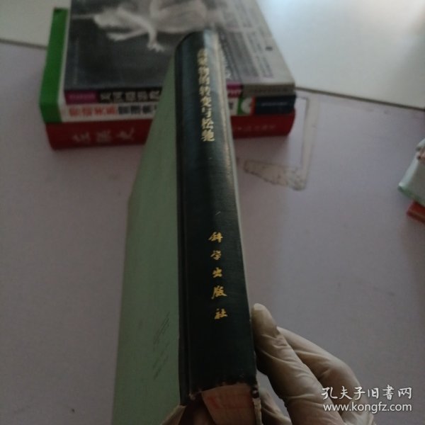 高聚物的转变与松弛