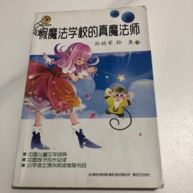 假魔法学校的真魔法师（儿童文学经典版）