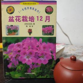 盆花栽培12月：一年四季观赏花卉