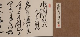 王文学，1958年出生于安徽宿州，籍贯江苏徐州，现居北京，毕业于华东师范大学中文系。先后师从方敬、刘艺先生学习书法，是沈尹默先生入室弟子。现为中国书法家协会会员，中国毛体书协顾问，亚洲佛教文化交流中心迎请殿首席抄经师，清华大学美术学院书画高研班班主任，山东文化艺术研究院特聘研究员，北京新燕都画院院长等。册页尺寸:23x32x12[12折](cm)，手绘保真。(45057#)