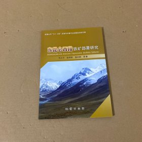 东昆仑西段铁矿部署研究