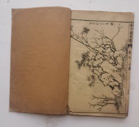 清代名家画梅竹蘭菊《芥子园画傳》二集卷八、卷九，梅蘭竹菊四都分（完整），青在堂菊谱;下册，画菊、花卉方面画谱：春飘风外、色染新霜、名分太液、秋耀金华、三色凌秋、小色织蕊、黄华朱實、黄蕊星罗、衰容增艳等19幅历史名家画菊、著名诗人作诗合作（洋见目录），非常珍贵，《芥子园画传》自问世以来，备受时人赞赏。《芥子园画传:花鸟》成为世人学画的必修之书，中国传统绘画的经典课本。19幅名家画梅菌竹菊非常少见。