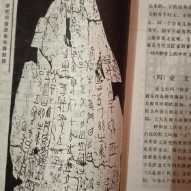 书法与美术字