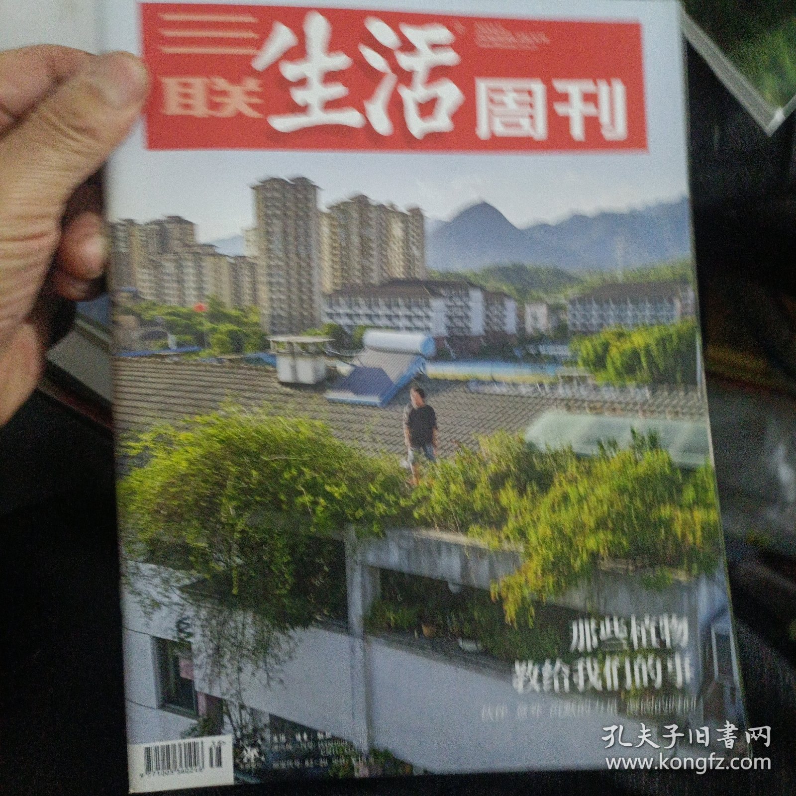 三联生活周刊1307