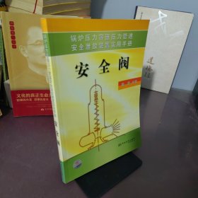 锅炉压力容器压力管道安全泄放装置实用手册——安全阀