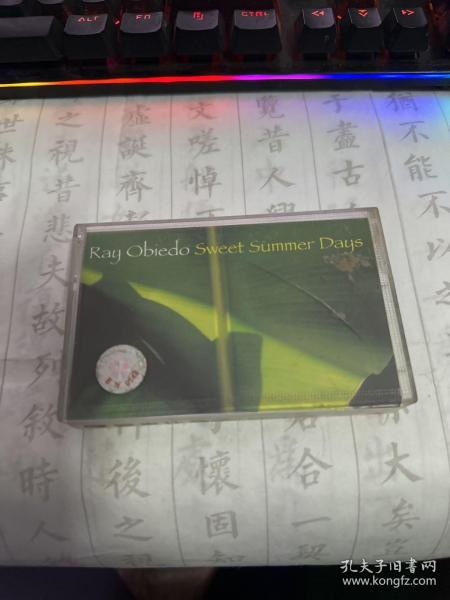 磁带 雷奥比德 夏日好时光