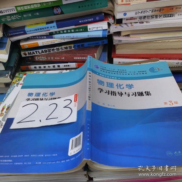 全国高等学校药学专业第七轮规划教材（药学类专业用）：物理化学学习指导与习题集（第3版）