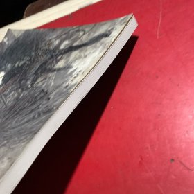 许勇生命之光与火