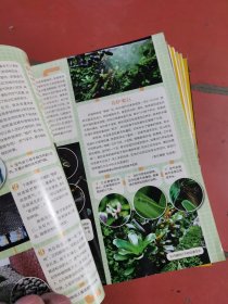 博物杂志2015年全12册 第1 2 3 4 5 6 7 8 9 10 11 12期.）中国国家地理博物杂志2015年12本合售 博物2015全年12期