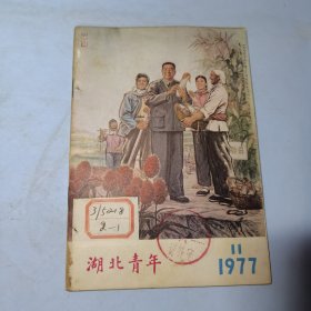 湖北青年1977年11期