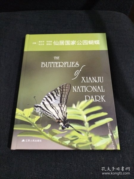 仙居国家公园蝴蝶
