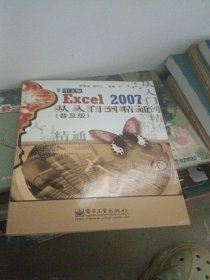 Excel 2007中文版从入门到精通（普及版）