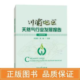 川渝地区行业发展报告(2020年) 能源科学 作者 新华正版