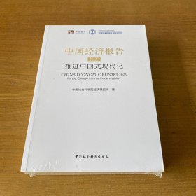 中国经济报告(2023推进中国式现代化)【全新未开封实物拍照现货正版】