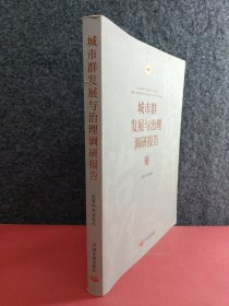 城市群发展与治理调研报告