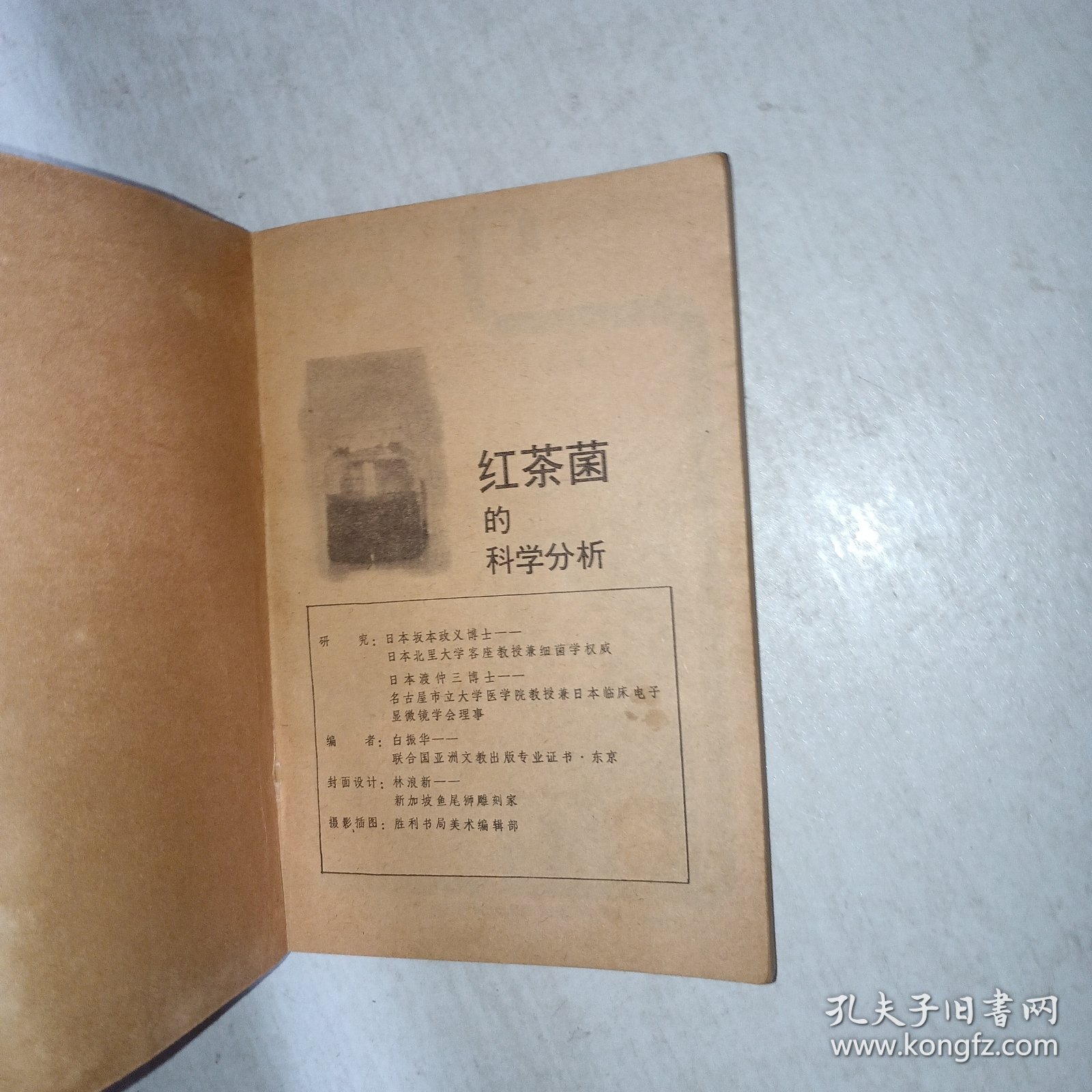 红茶菌的科学分析 1003