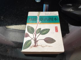 袖珍草药图本