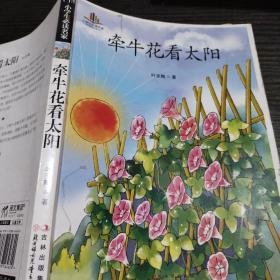 牵牛花看太阳