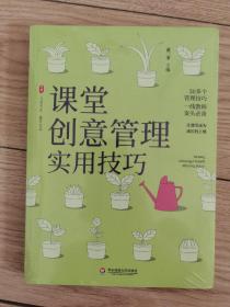 课堂创意管理实用技巧大夏书系（全新未拆封）