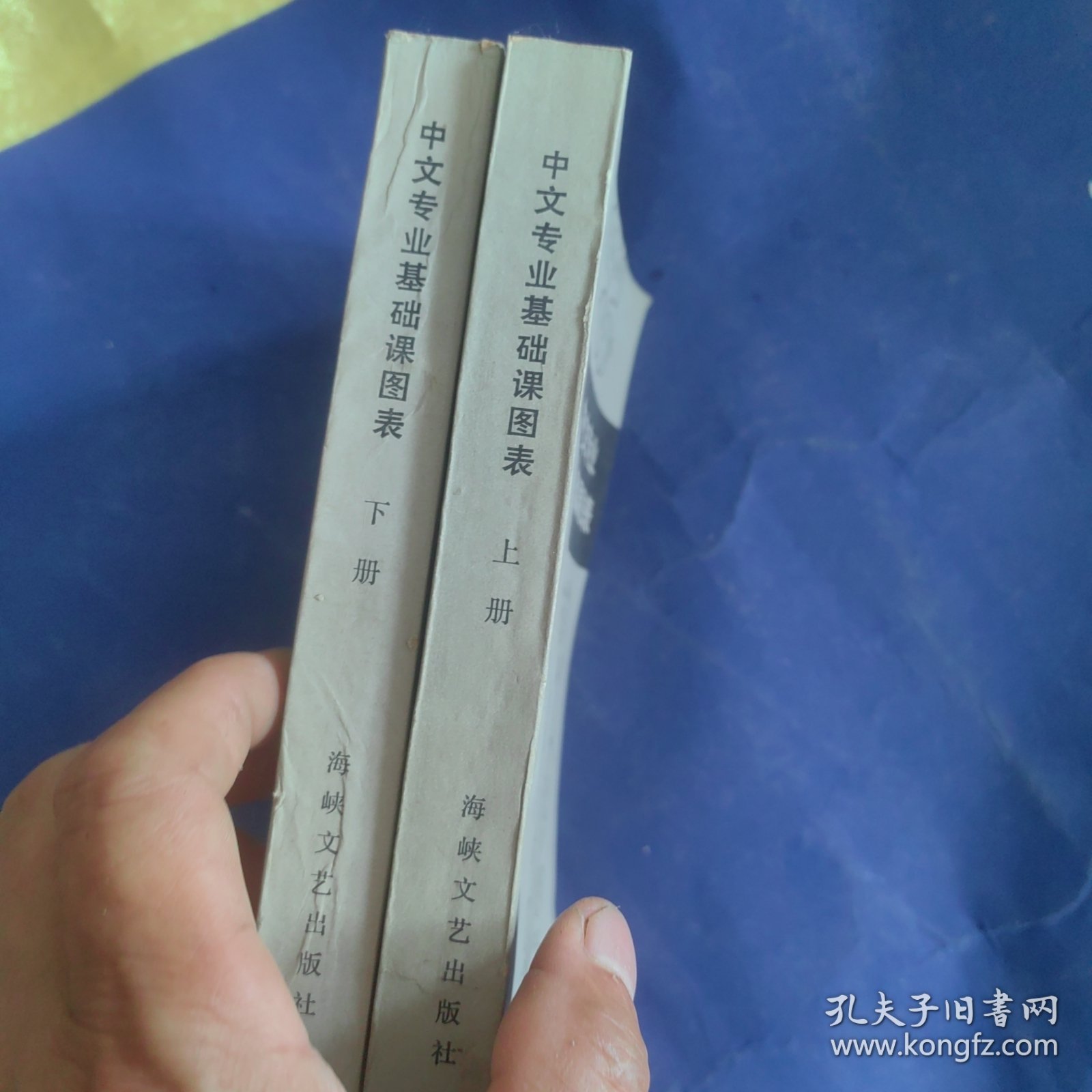 中文专业基础课图表（上下两册）