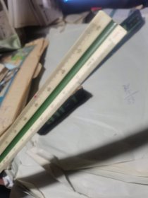 金弓牌三棱比例尺(300㎜绘图级) 有外套