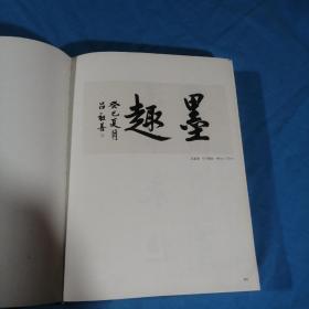 沙孟海奖第八届全浙书法大展作品集，内无笔迹。