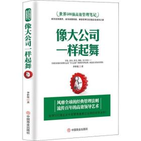 像大公司一样起舞 管理实务 李世化