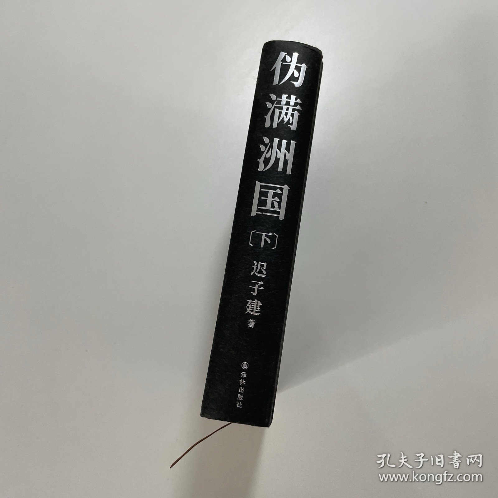 伪满洲国（茅盾文学奖作家迟子建重现伪满洲国历史的扛鼎之作）下册 精装
