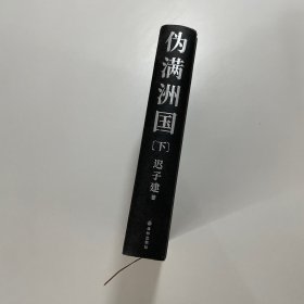伪满洲国（茅盾文学奖作家迟子建重现伪满洲国历史的扛鼎之作）下册 精装
