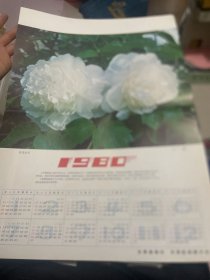 1980日历 甘肃画报社