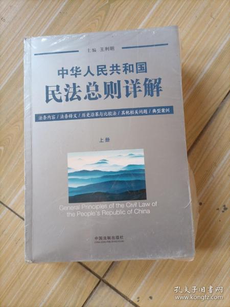 中华人民共和国民法总则详解（套装上下册）