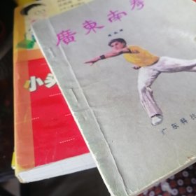 广东南拳。