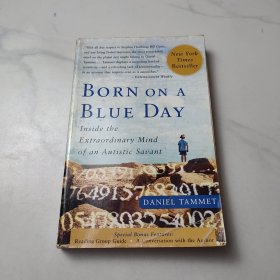 Born On A Blue Day：Inside the Extraordinary Mind of an Autistic Savant