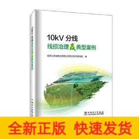 10kV分线线损治理及典型案例